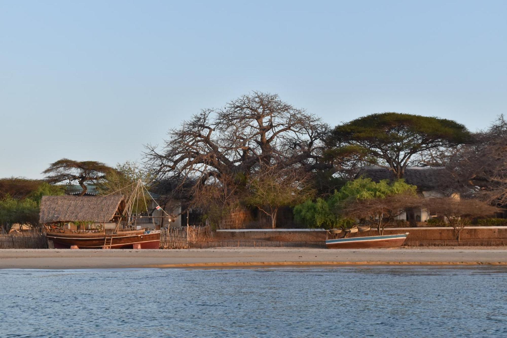 Hotel Amu House Lamu Exterior foto